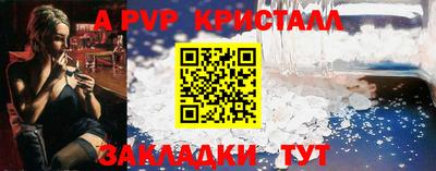 стаф Новокубанск