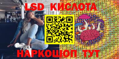 герыч Новодвинск