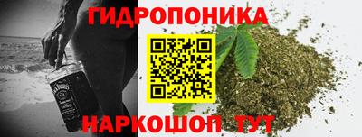 стаф Новокубанск