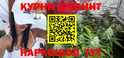 стаф Новокубанск