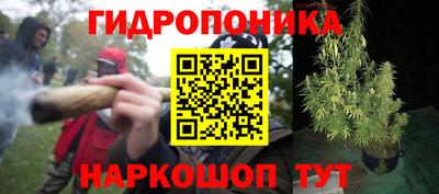 дмт Новозыбков