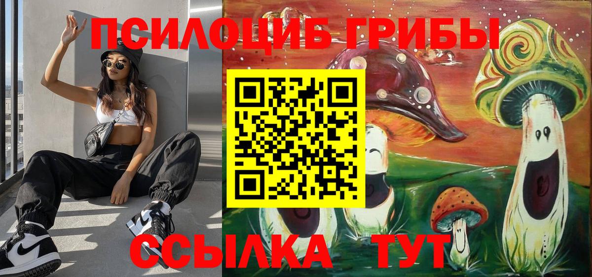 Галлюциногенные грибы мухоморы  купить   Сокол  Псилоцибиновые грибы Magic Shrooms  Вход с VPN 